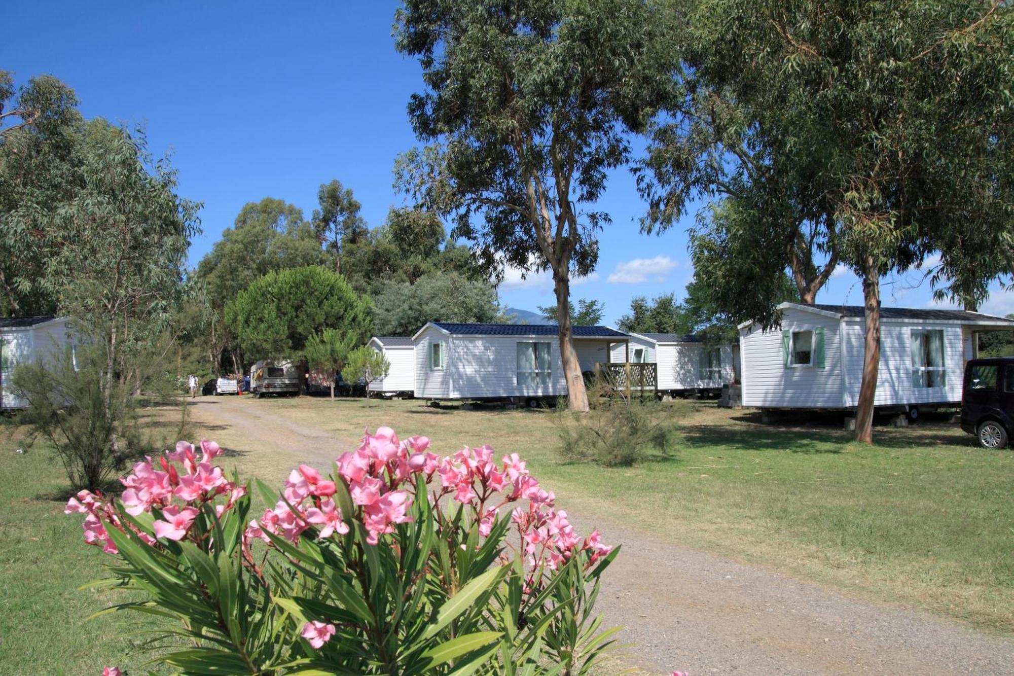 Camping Miami Plage 호텔 Poggio Mezzana 외부 사진